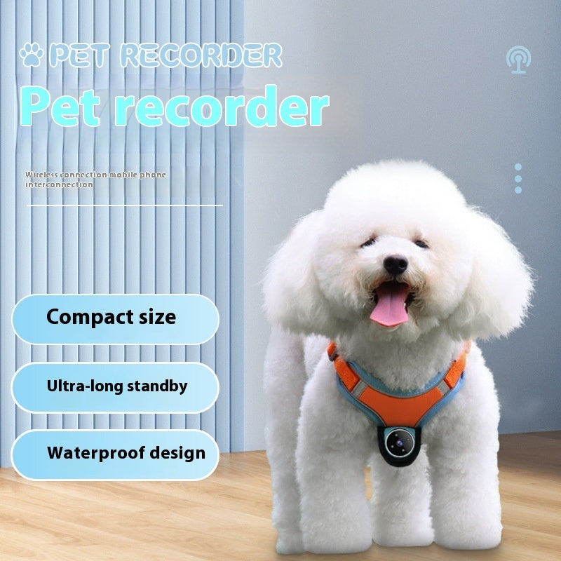 Pet Camera Recorder for Collar or Harness