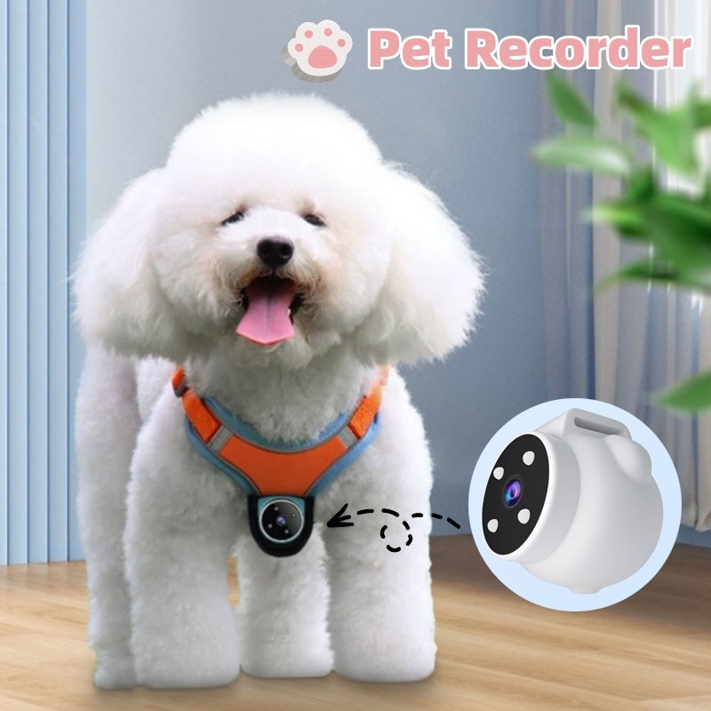Pet Camera Recorder for Collar or Harness